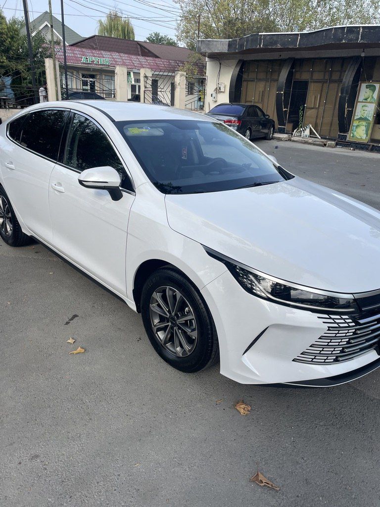 BYD Destroyer 05, 1.5 L, 8.3 kWh, 2025 il, 60 000 km — Avtomobillər, Bakı (4)