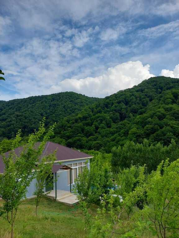 İcarəyə verilir 5 otaqlı həyət evi/bağ evi 120 m² — Ev, villa, Qəbələ (3)