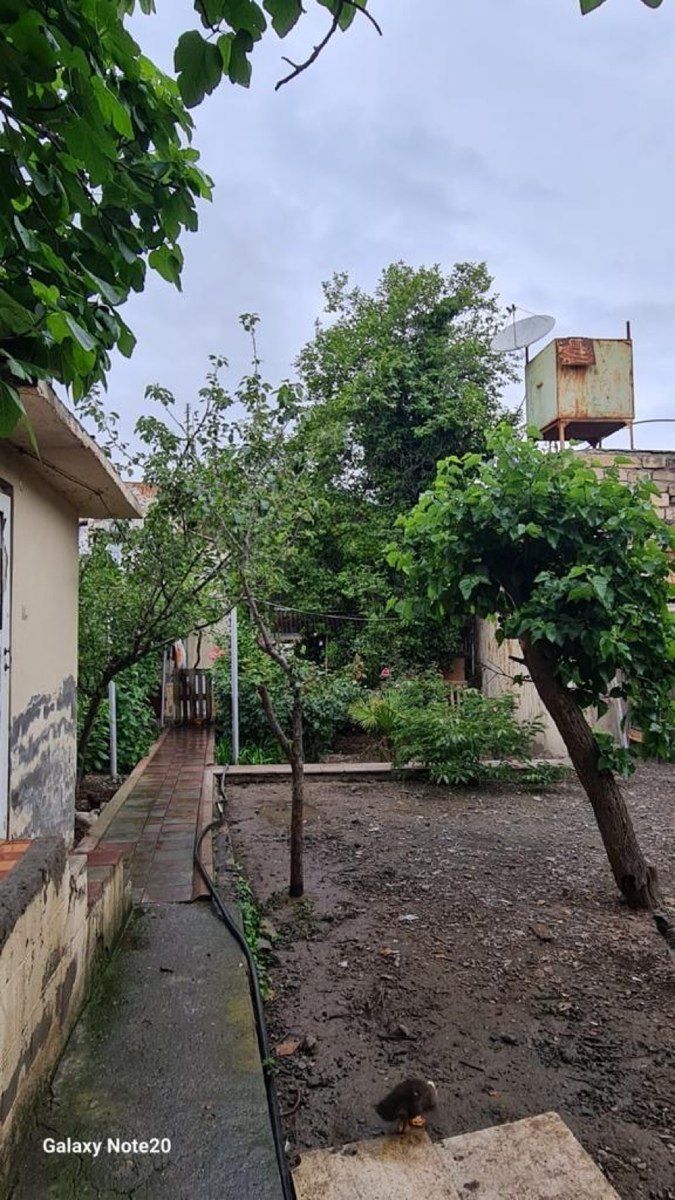 Həyət evi, Gəncə ş. — Daşınmaz əmlak, Gəncə (3)