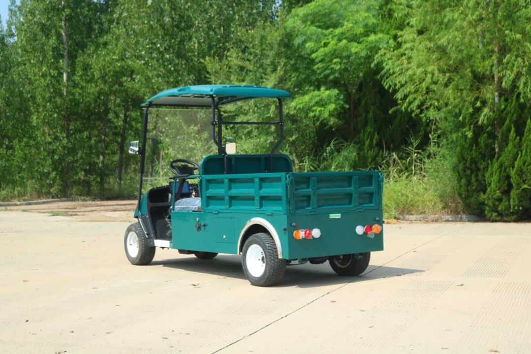 Golfcar Pickup, 2026 — Avto, Bakı (6)