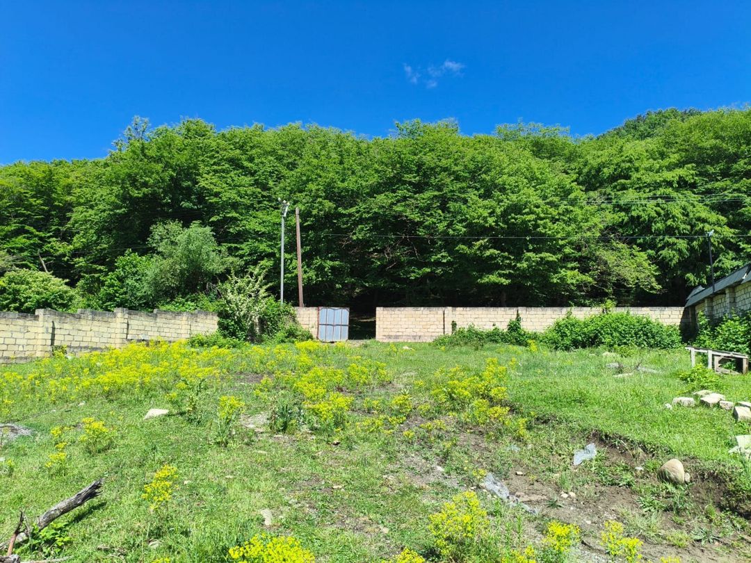 12 sot torpaq sahəsi, Quba r. — Torpaq, Quba (2)