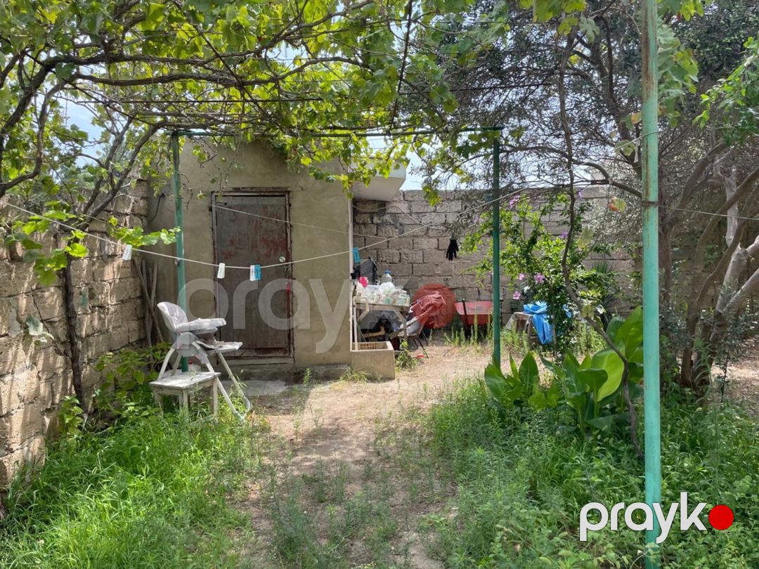 1 sot torpaq sahəsi, Albalı qəs. — Torpaq, Bakı (5)