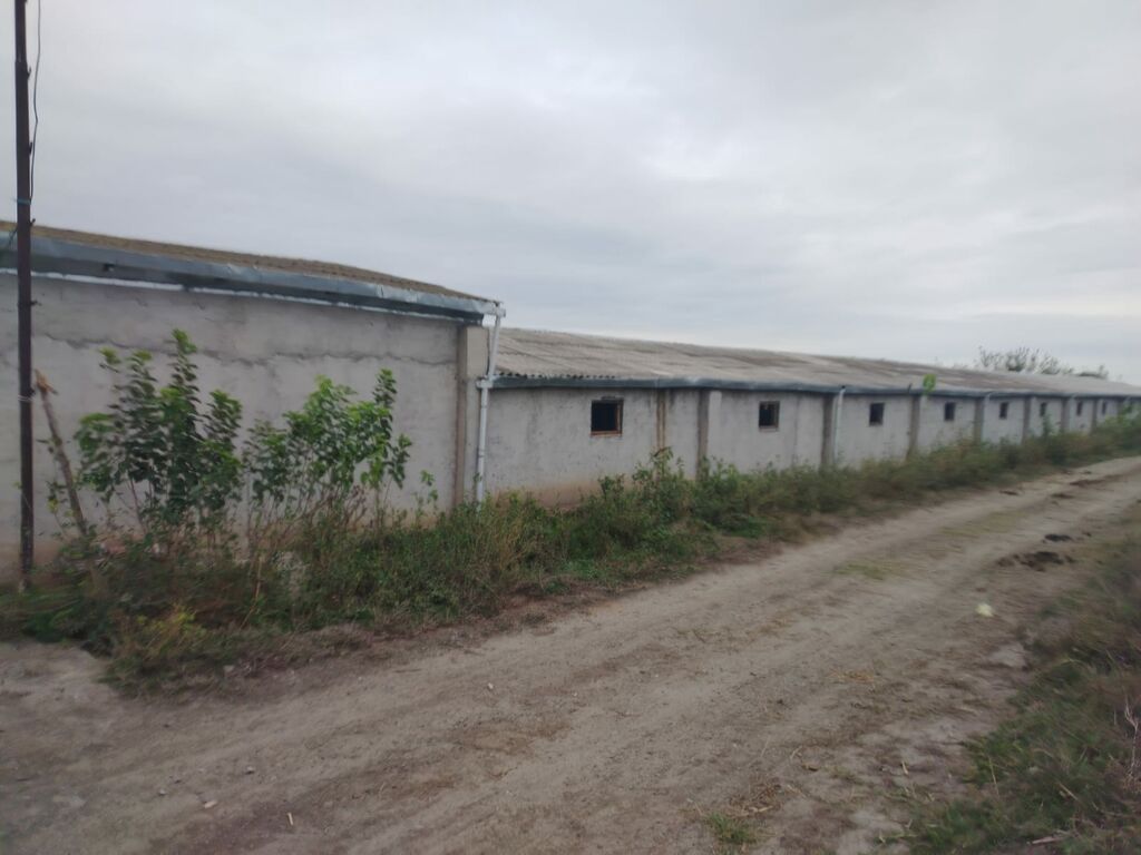 Ferma mal bazarina bir kilometr mesafede yerlesirqarabag su — Daşınmaz əmlak, Bərdə (7)