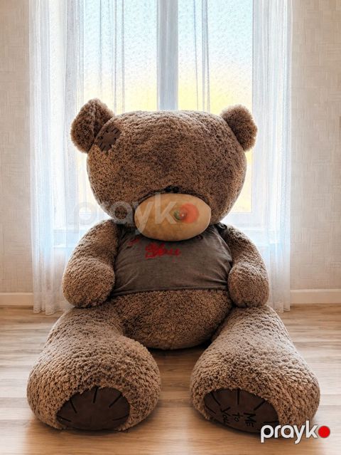 Nəhəng ölçülü yumşaq oyuncaq ayı. Açıq qəhvəyi rəngdədir, uzun və sıx