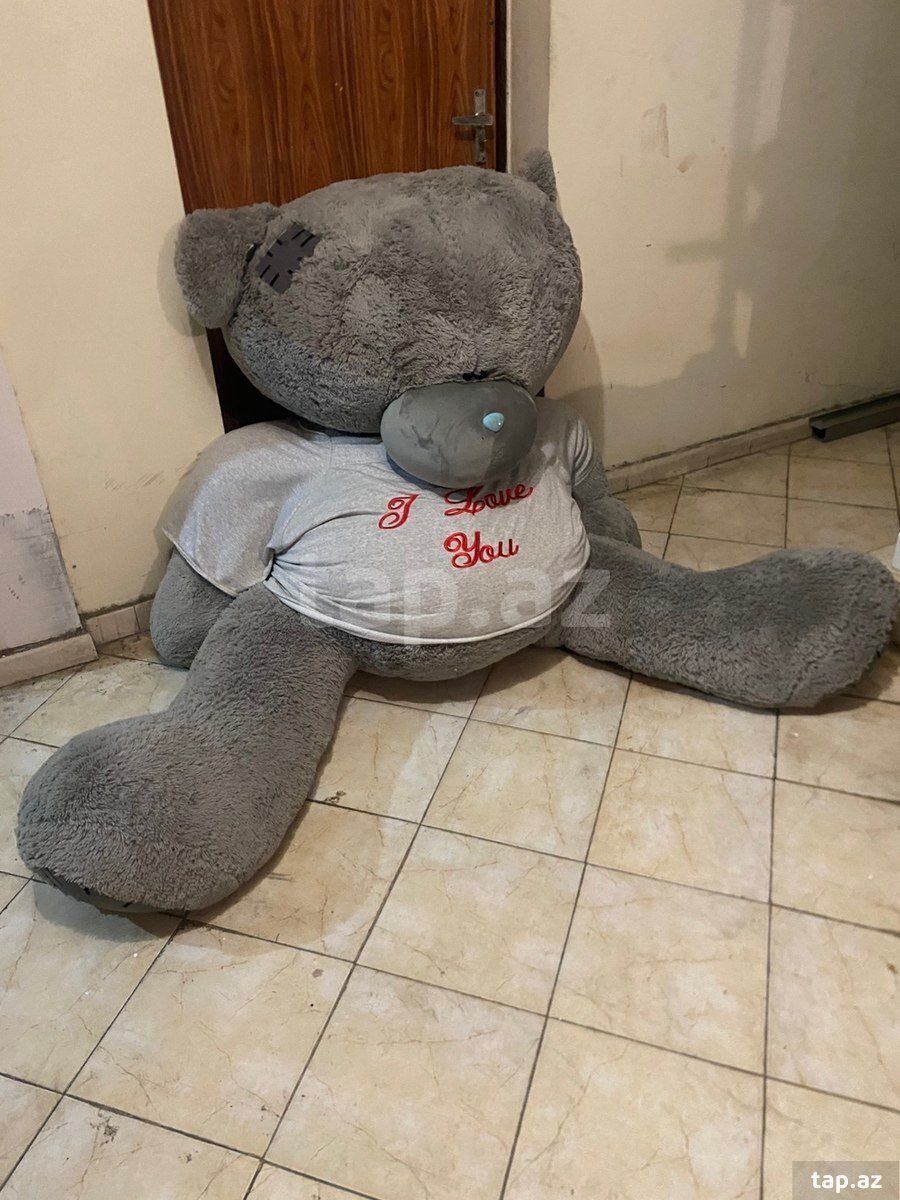 Oyuncaq ayı Teddy — Oyuncaqlar, Bakı (4)