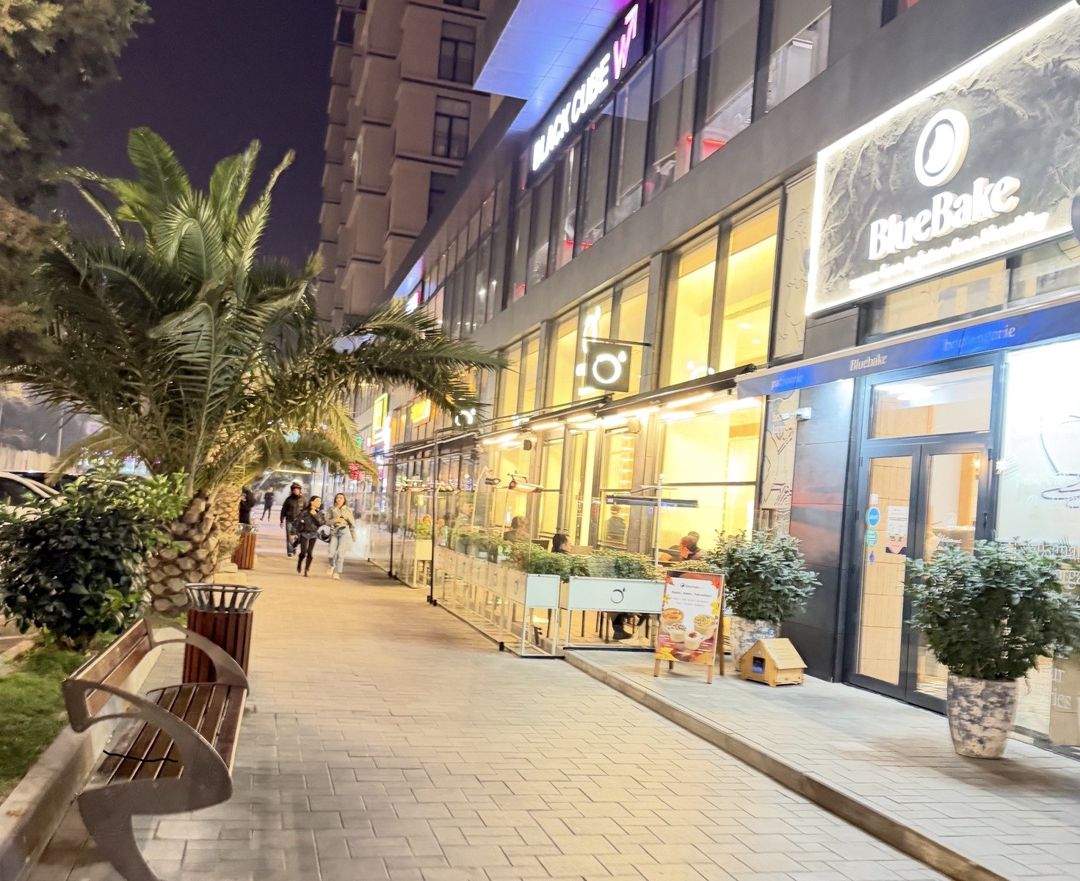 İcarəyə verilir 2 otaqlı yeni tikili 101 m² — Mənzil, Bakı (2)