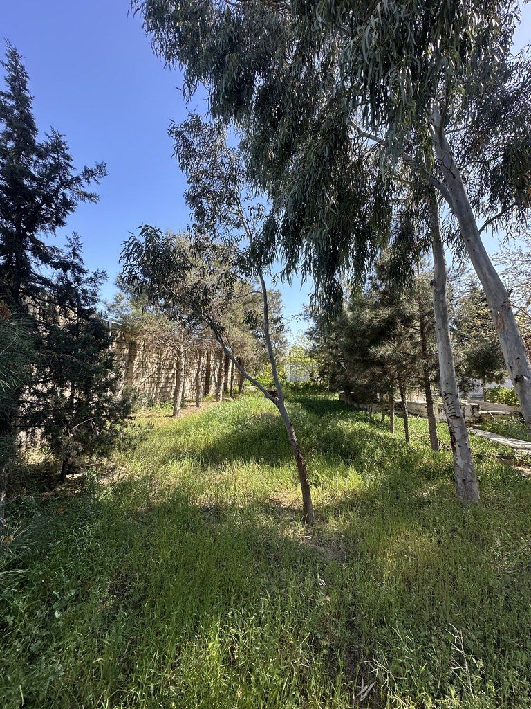 Satılır torpaq 11 sot — Torpaq, Bakı (7)