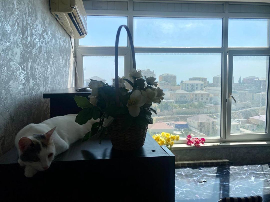 Satılır 3 otaqlı yeni tikili 78 m² — Mənzil, Bakı (5)