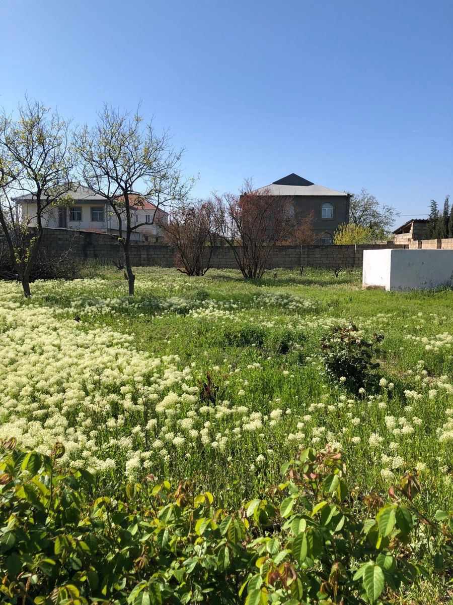 5 sot torpaq sahəsi, Y.Saray qəs. — Torpaq, Bakı (10)