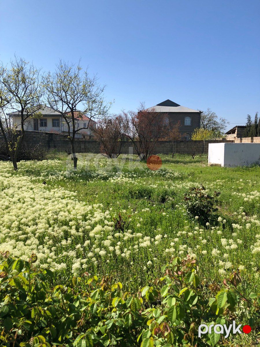5 sot torpaq sahəsi, Y.Saray qəs. — Torpaq, Bakı (10)