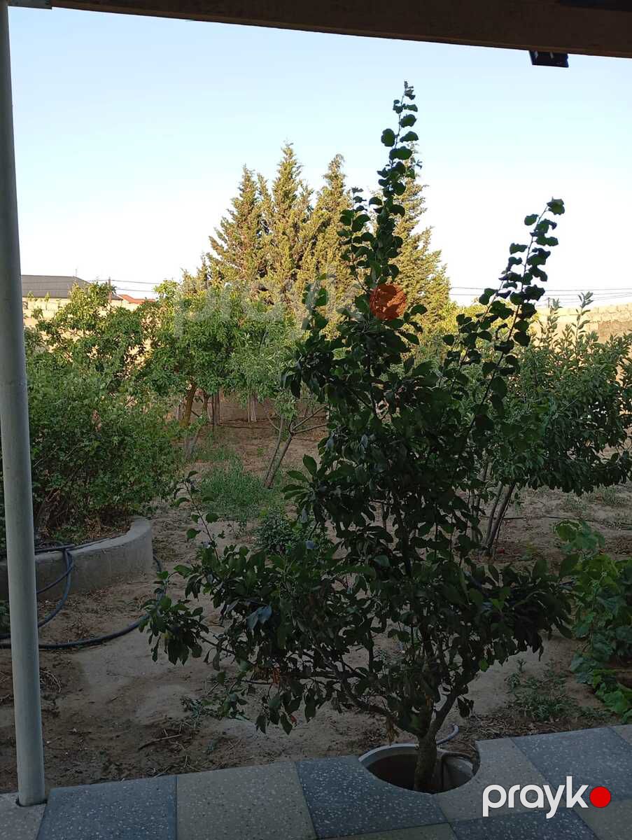 İcarəyə verilir 2 otaqlı həyət evi/bağ evi 30 m² — Ev, villa, Bakı (9)