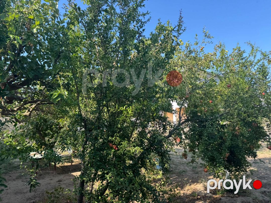 Satılır 5 otaqlı həyət evi/bağ evi 350 m² — Ev, villa, Bakı (4)