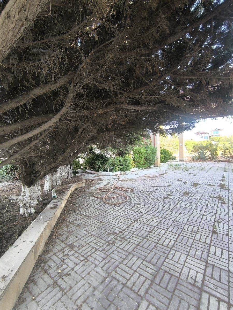 Satılır 7 otaqlı həyət evi/bağ evi 280 m² — Ev, villa, Bakı (7)
