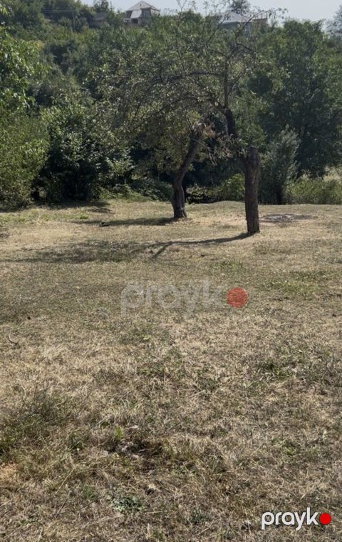12 sot torpaq sahəsi, Quba r — Quba