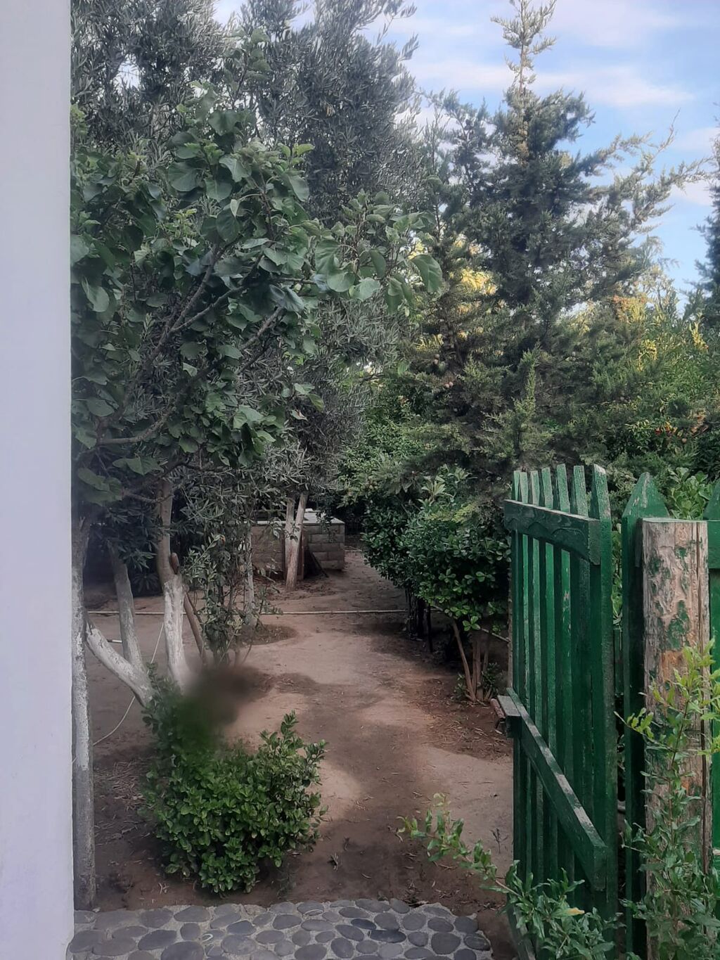 Oğuz, 90 kv. m, 2 otaqlı, Hovuzlu, Su