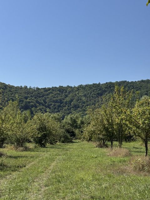 Satılır torpaq 105 sot