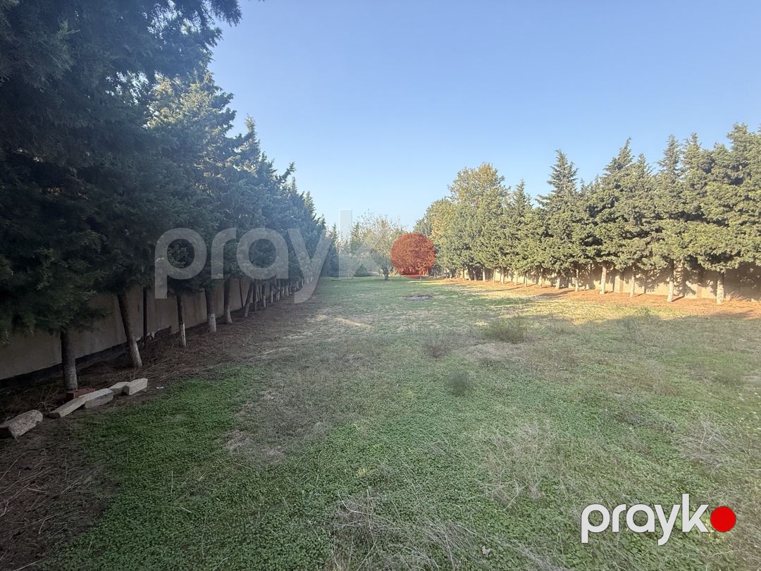 18 sot torpaq sahəsi, Bilgəh qəs — Torpaq, Bakı (2)