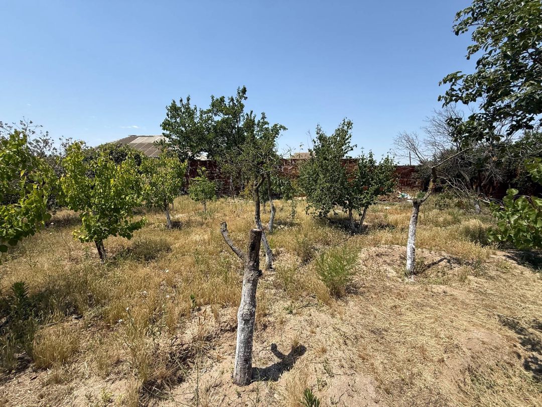 Satılır 4 otaqlı həyət evi/bağ evi 200 m² — Ev, villa, Bakı (7)