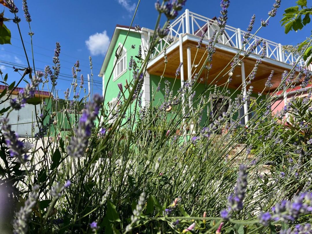 Həyət evi kirayə verilir, Şamaxı r. — Daşınmaz əmlak, Şamaxı (2)