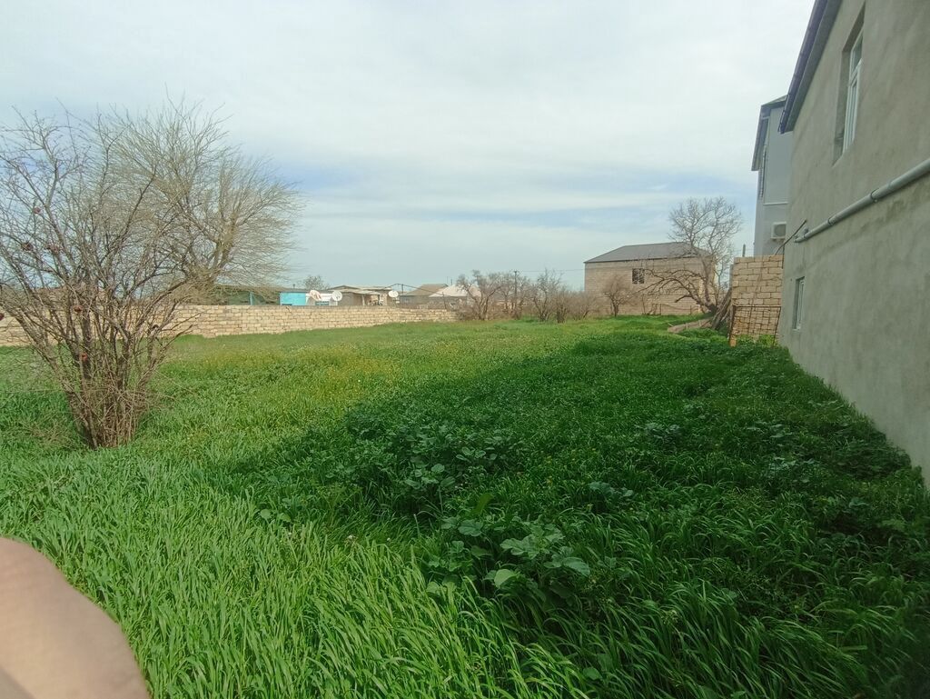 8 sot, Tikinti, Mülkiyyətçi, Kupça (Çıxarış) — Torpaq, Saray (4)