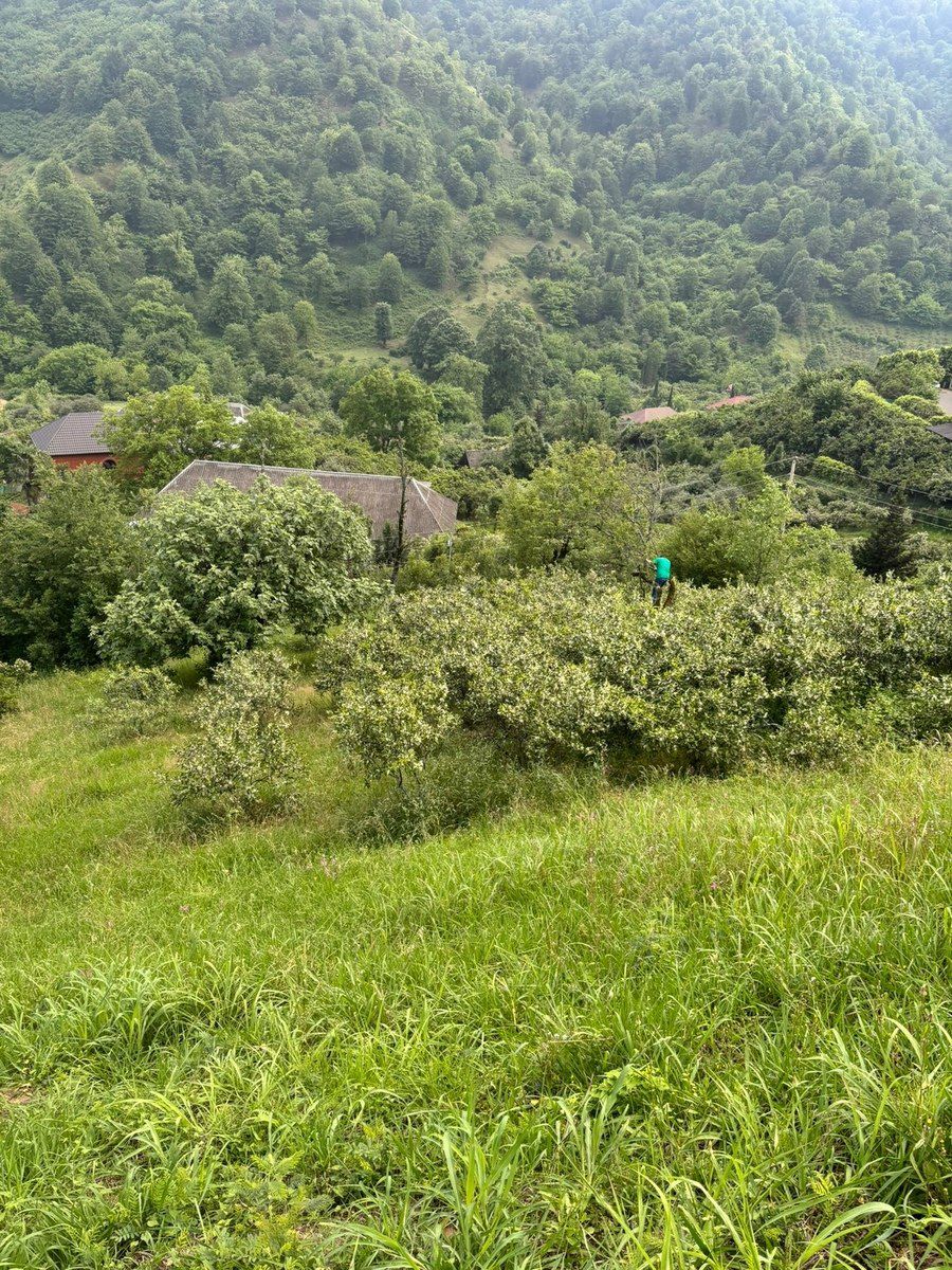 70 sot torpaq sahəsi, Astara ş. — Torpaq, Astara (6)