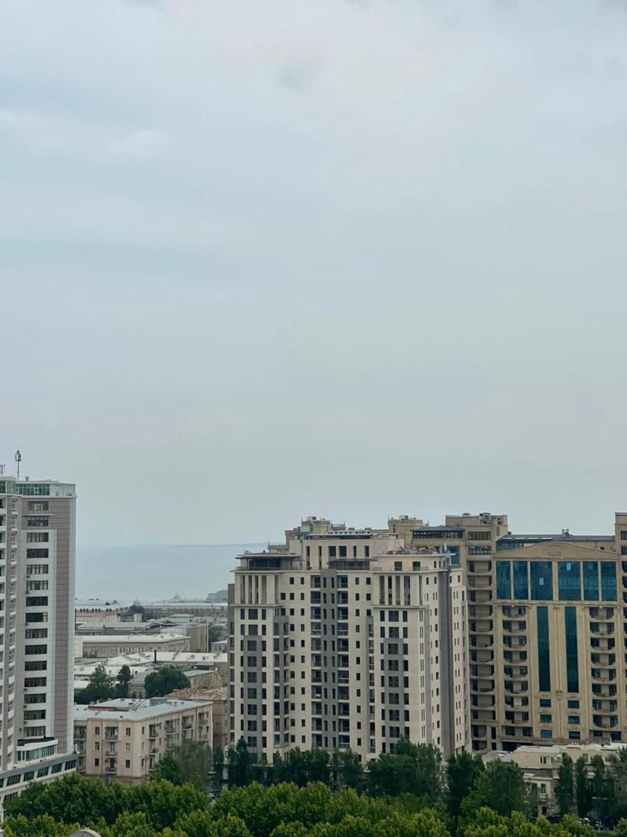Satılır 4 otaqlı yeni tikili 229 m² — Mənzil, Bakı (6)