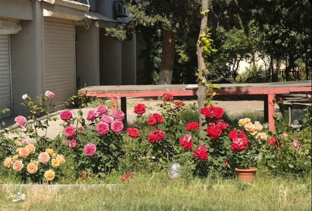 Satılır 3 otaqlı köhnə tikili 95 m² — Mənzil, Bakı (6)