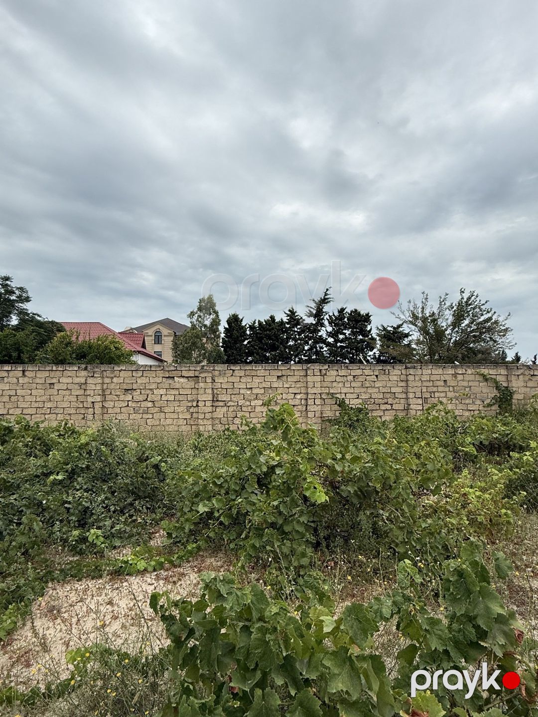 2.5 sot torpaq sahəsi, Görədil qəs. — Torpaq, Bakı (3)