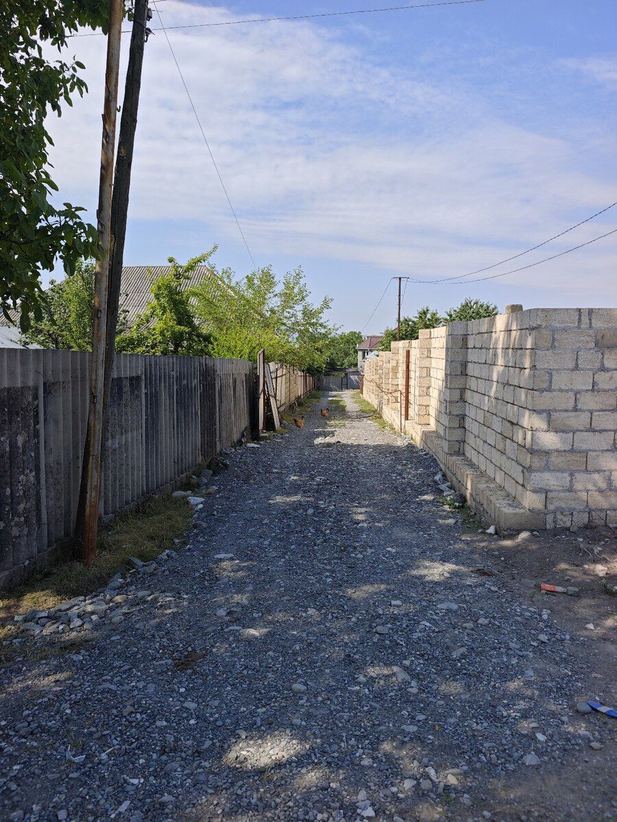 5 sot torpaq sahəsi, İsmayıllı r. — Torpaq, İsmayıllı (6)