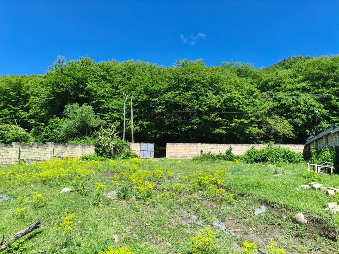 12 sot torpaq sahəsi, Quba r. — Torpaq, Quba (5)