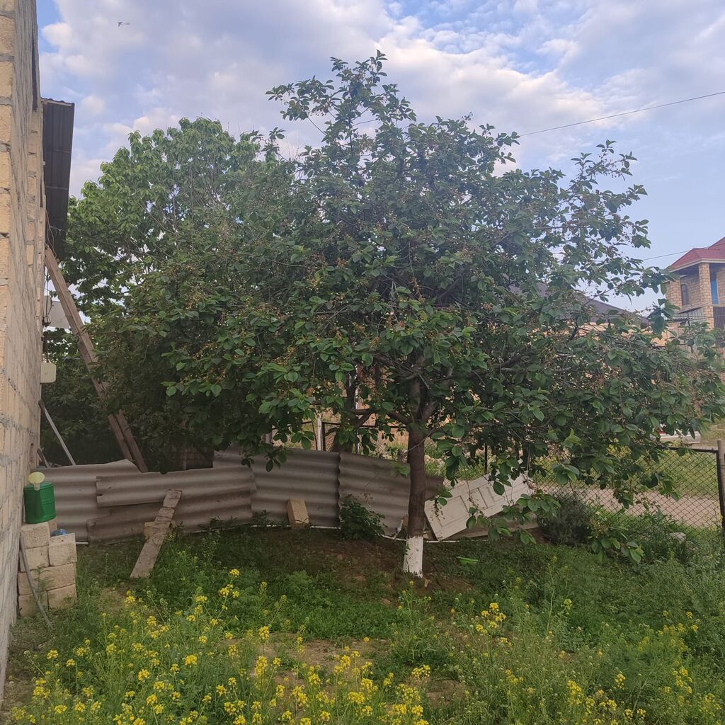 Gəncə şəhəri Gülüstan qəsəbəsində satılır ev real alıcıya cüzi endirim — Daşınmaz əmlak, Gəncə (6)