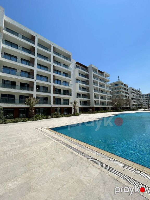 İcarəyə verilir 1 otaqlı yeni tikili 50 m² — Mənzil, Bakı (2)