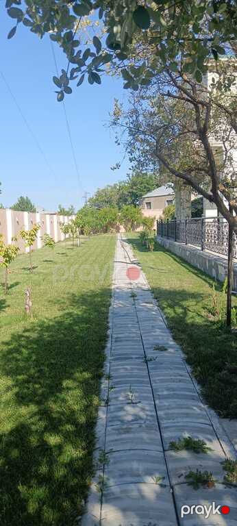 İcarəyə verilir 4 otaqlı həyət evi/bağ evi 210 m² — Ev, villa, Bakı (12)