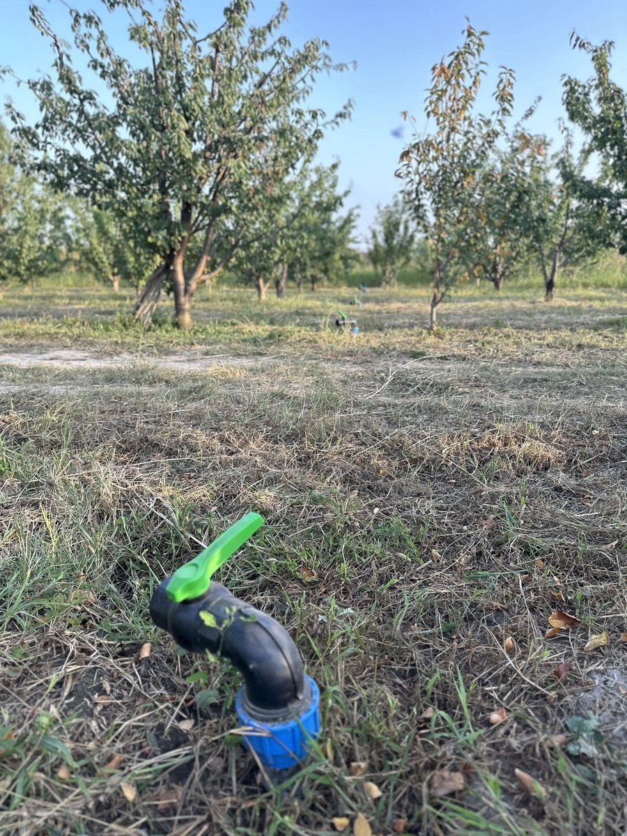 Satılır torpaq 200 sot — Torpaq, Xaçmaz (6)