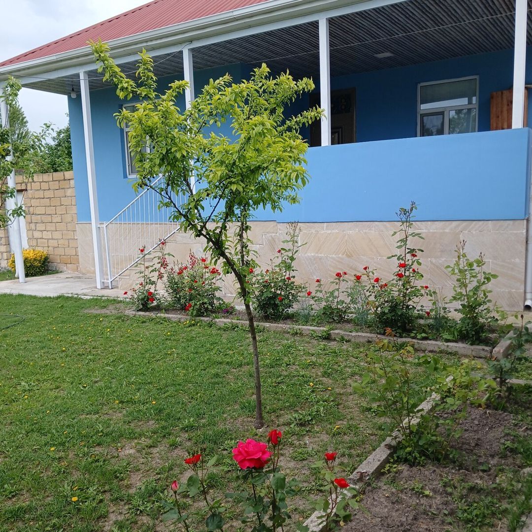 Həyət evi kirayə verilir, Oğuz r. — Ev, villa, Oğuz (2)