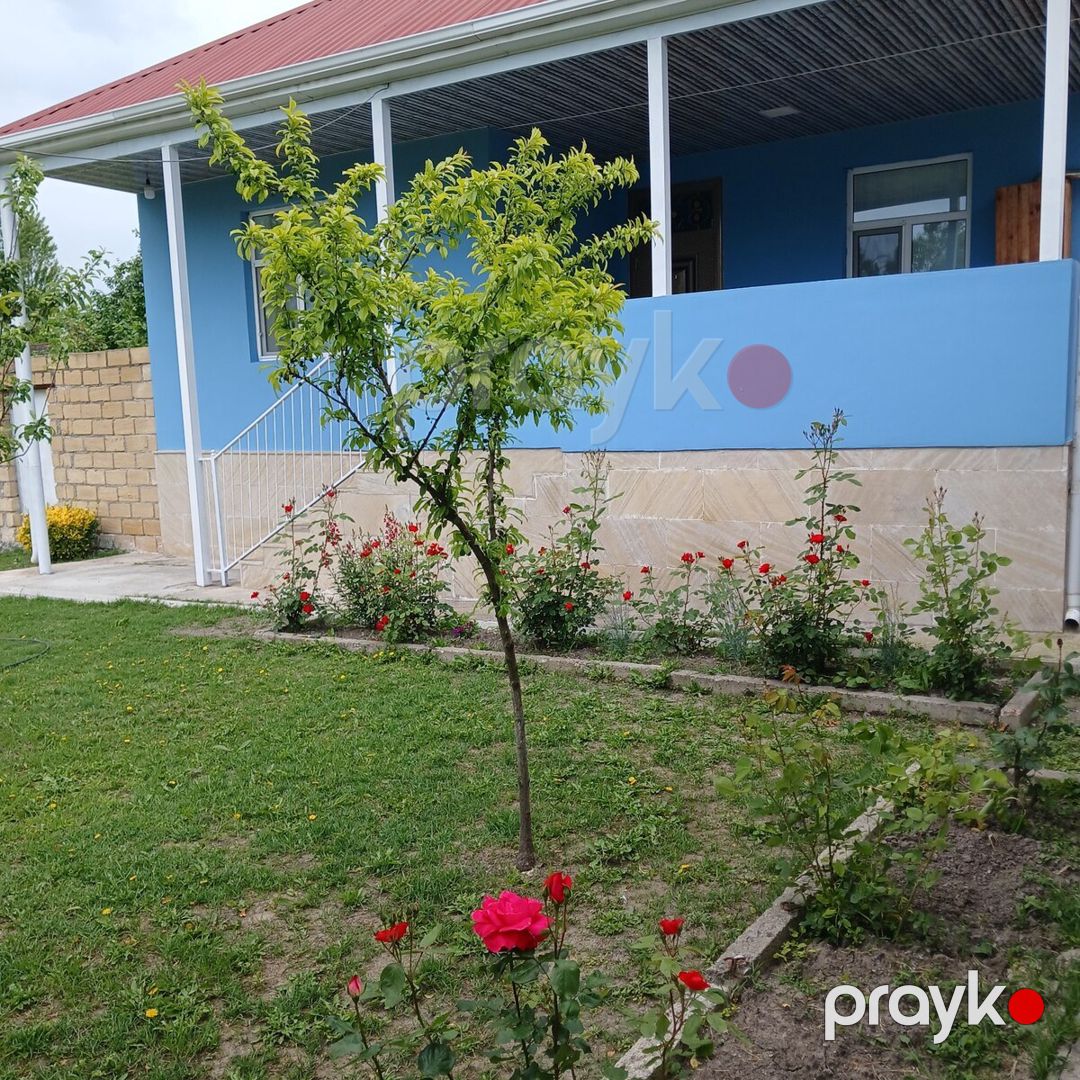 Həyət evi kirayə verilir, Oğuz r — Ev, villa, Oğuz (2)