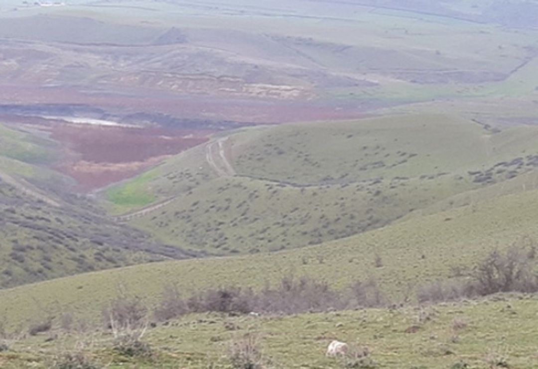 Satılır torpaq 8000 sot — Torpaq, Şabran (2)