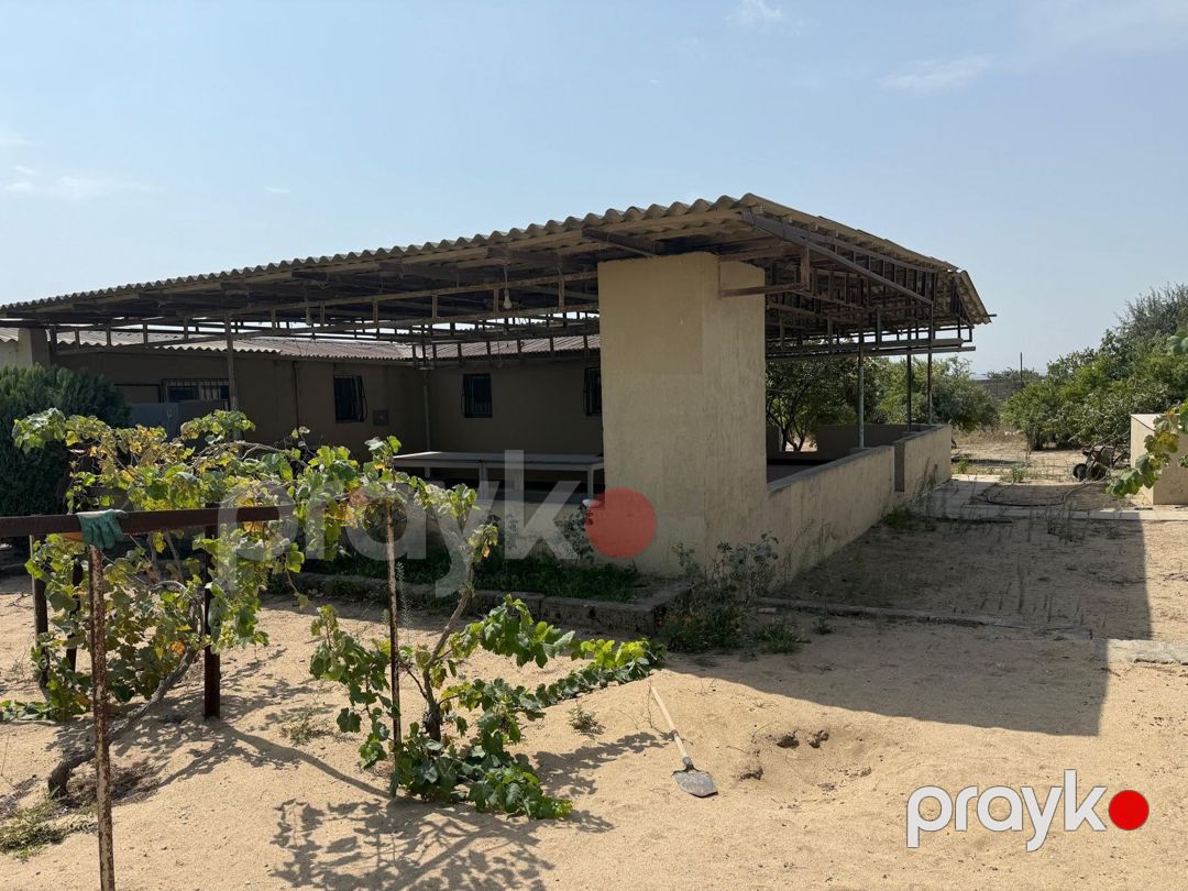 22 sot torpaq sahəsi, Nardaran qəs — Torpaq, Bakı (5)