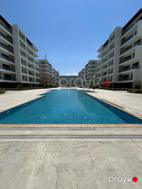 İcarəyə verilir 1 otaqlı yeni tikili 50 m²