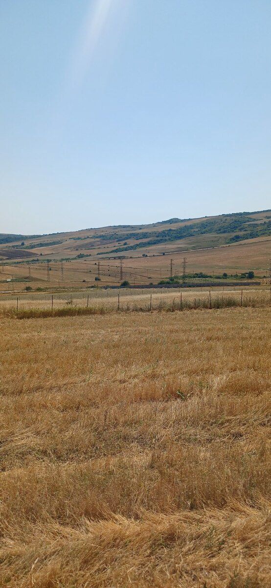 220 sot torpaq sahəsi, Şamaxı r. — Torpaq, Şamaxı (9)