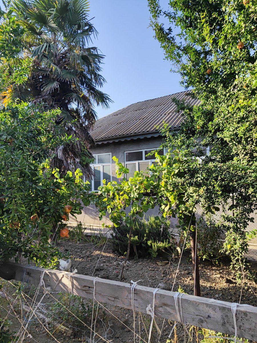 Bağ evi, Şirvan ş. — Ev, villa, Şirvan (2)