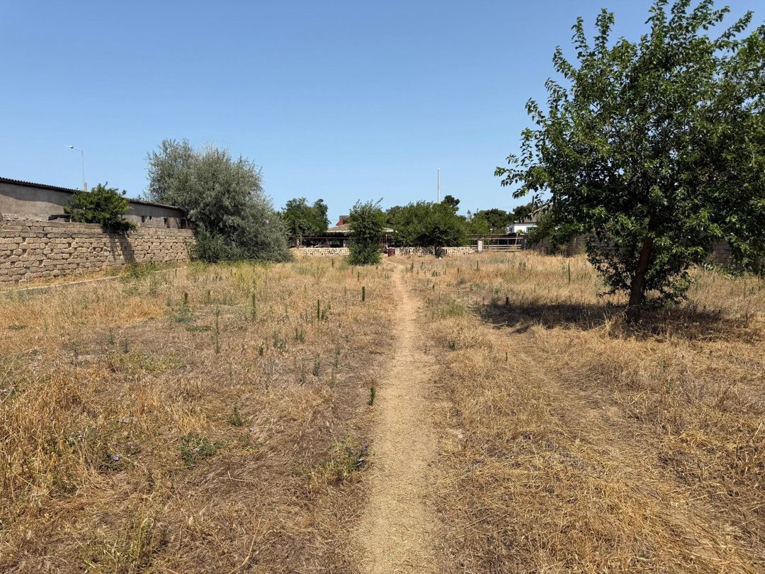 5 sot torpaq sahəsi, Buzovna qəs. — Torpaq, Bakı