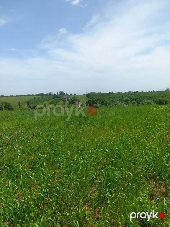 80 sot torpaq sahəsi, Quba r — Torpaq, Quba (6)