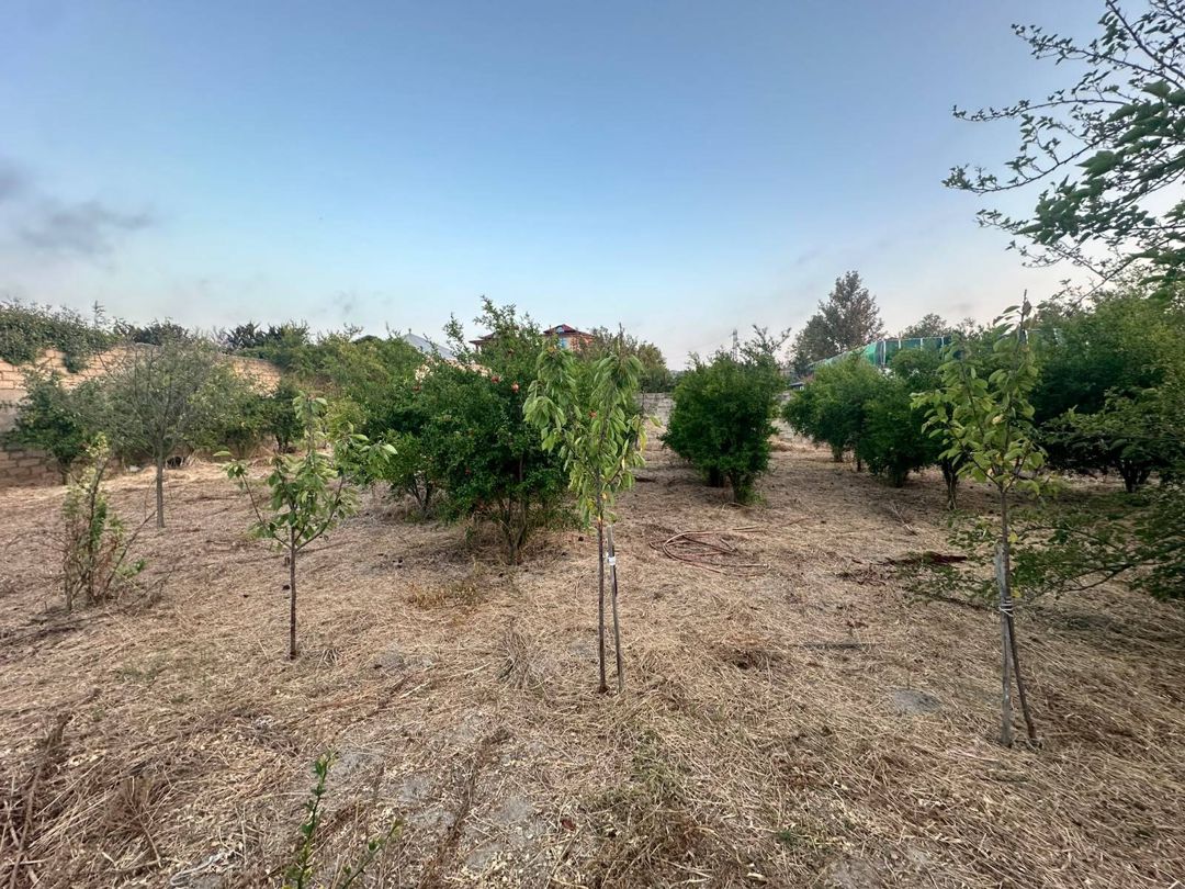 Satılır torpaq 2.5 sot — Torpaq, Bakı (2)
