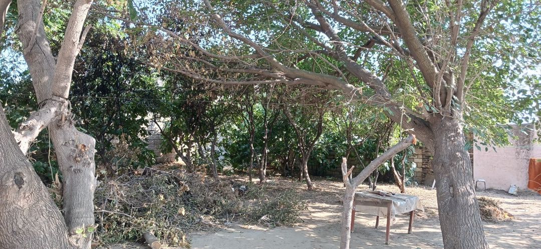 8 sot torpaq sahəsi, Corat qəs. — Torpaq, Sumqayıt (3)