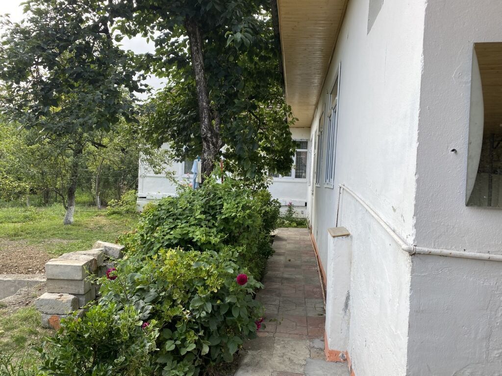 4 otaqlı, 150 kv. m, Orta təmir — Daşınmaz əmlak, Qəbələ (4)