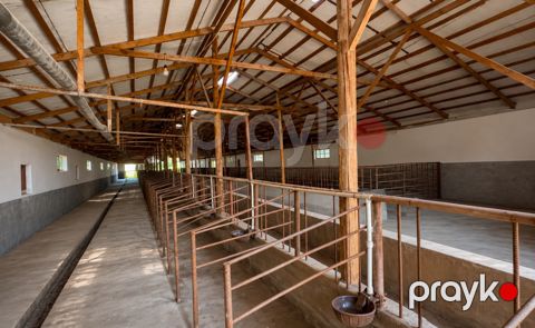 Satılır obyekt 7000 m²