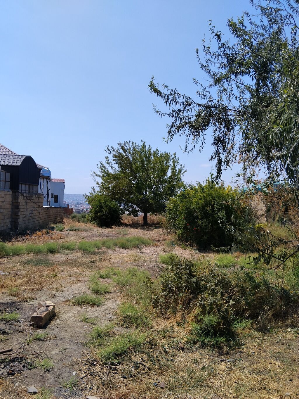 Tikinti — Torpaq, Bakı