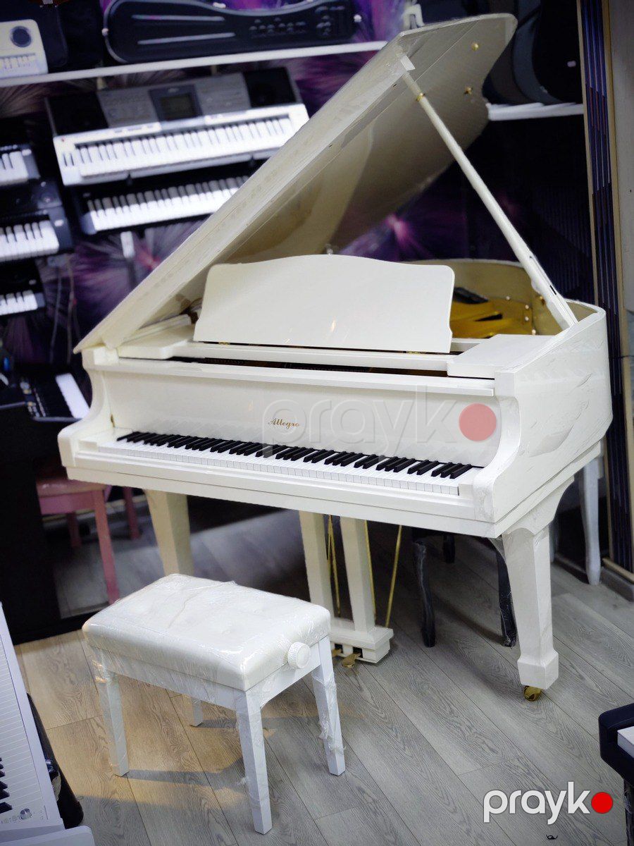 Akustik piano — Musiqiə alətləri, Bakı (4)
