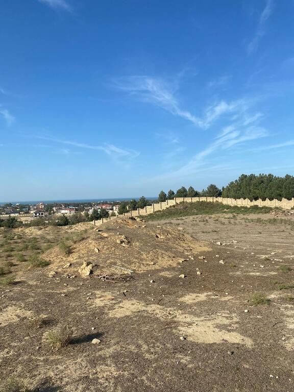 Satılır torpaq 220 sot — Torpaq, Bakı (3)